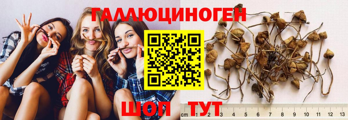 Рубцовск  Галлюциногенные грибы прущие грибы  Вход с VPN 
